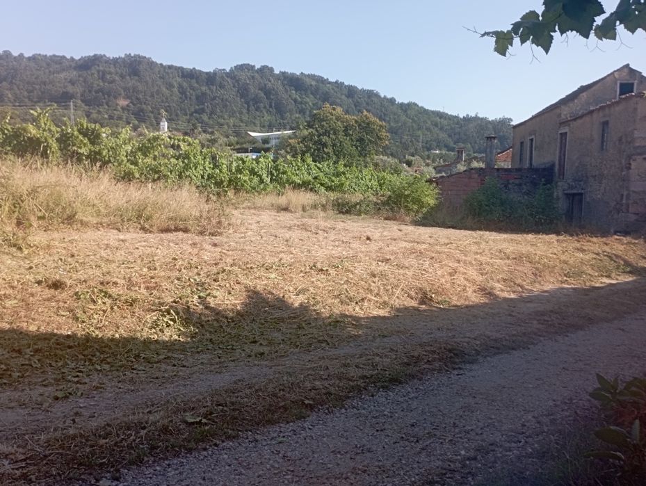 Construçao e limpeza de terrenos e telhados