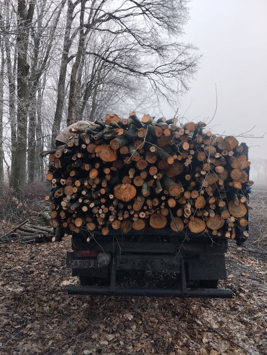 Продам дрова твёрдых/мешаных пород