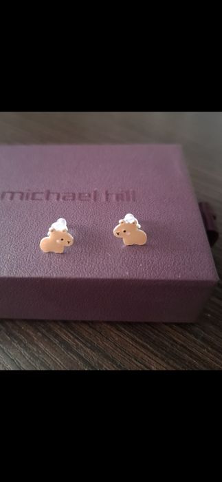 Серебряные серёжки, серёжки капибары. Две пары за 800 отдам