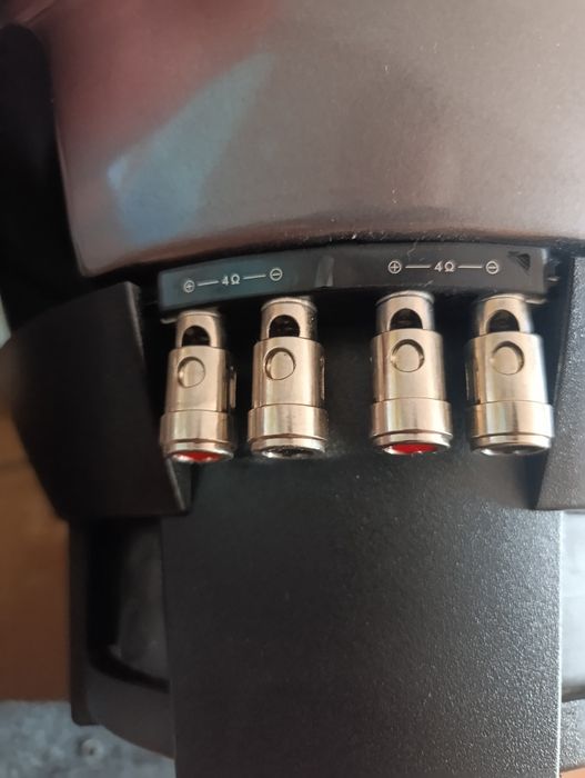 Głośnik samochody, tuba. Subwoofer Pioneer TS W308D4