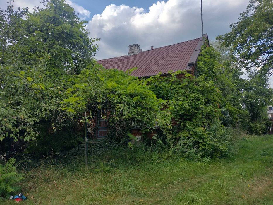 Działka, dom, pole, las