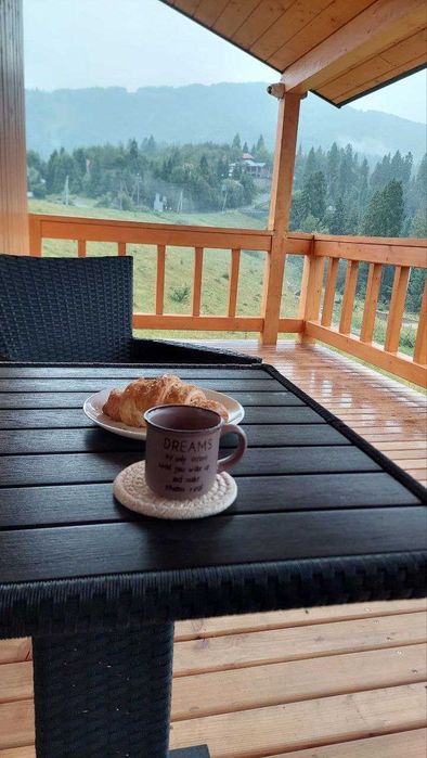 відпочинок з сімєю у  Карпатах