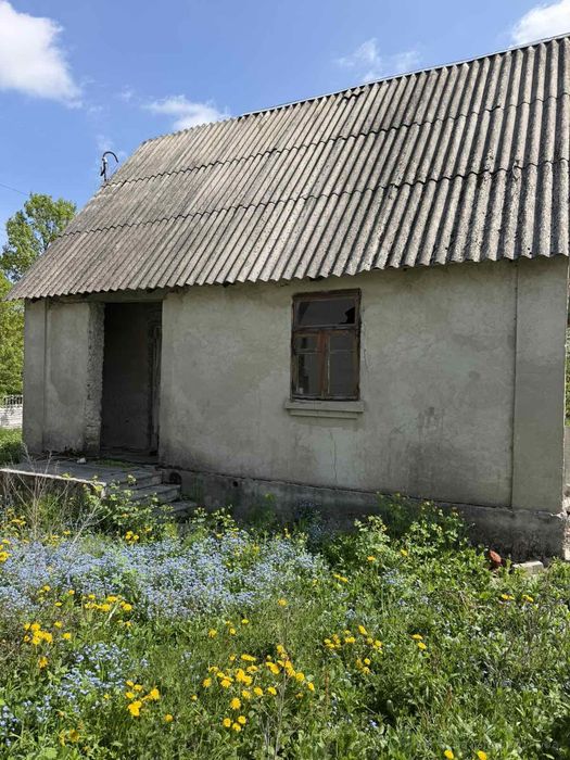N:14065 - Продаж дачі, 1-кімн., Сонячне, 33 м², 1-пов., 4.5 сот. - Вид 6