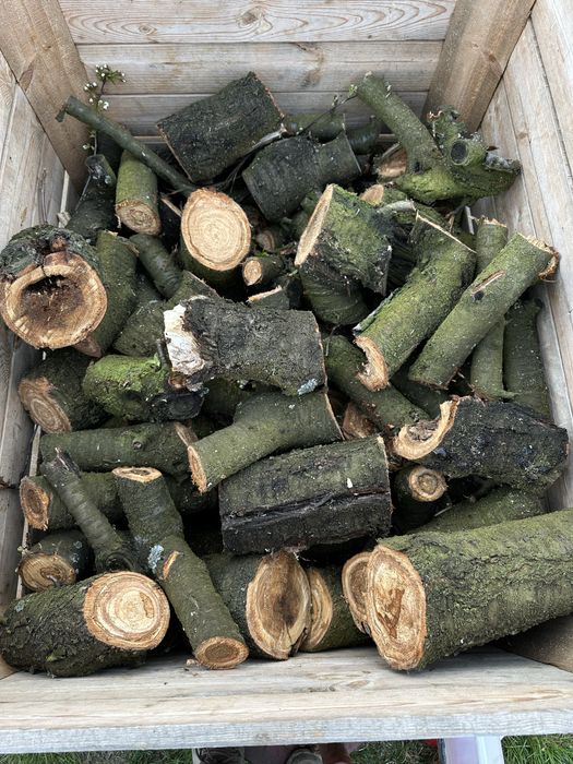 Drewno na opał wędzenie wiśnia jabłoń