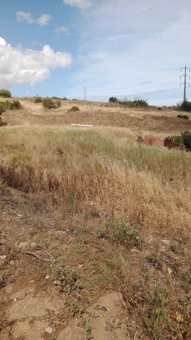 Serviços agrícolas/Agricultural services, land clearing