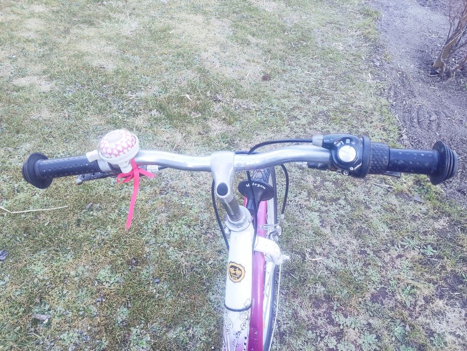 Rower dla dziewczynki 24 cale