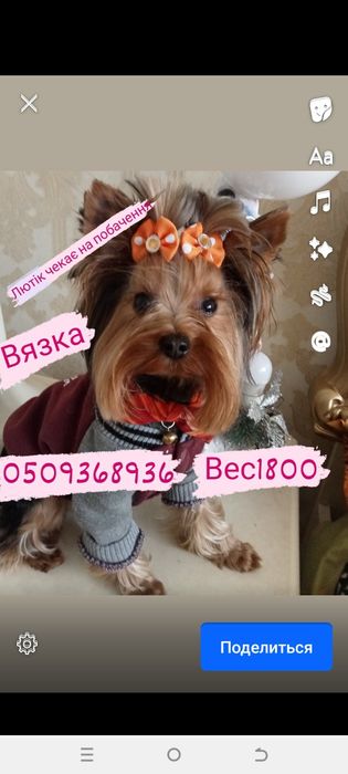 В'ЯЗКА!!!Міні хлопчик 1800