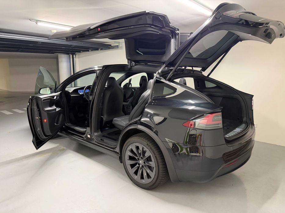 Tesla Model X 100D (60 000 km)