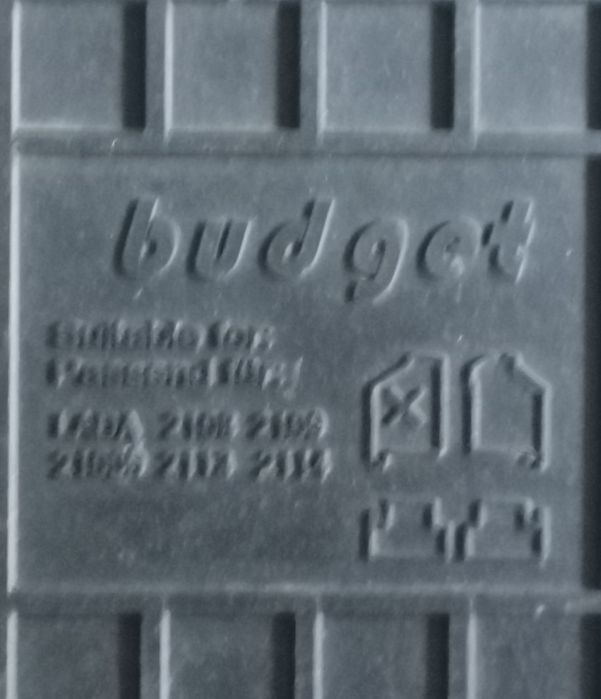 Гумові авто килимки Budget.