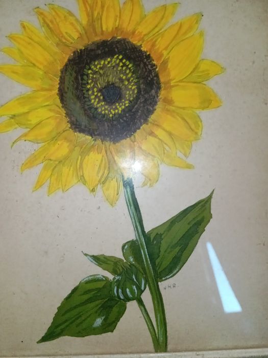 Girassol pintura pequeno assinado