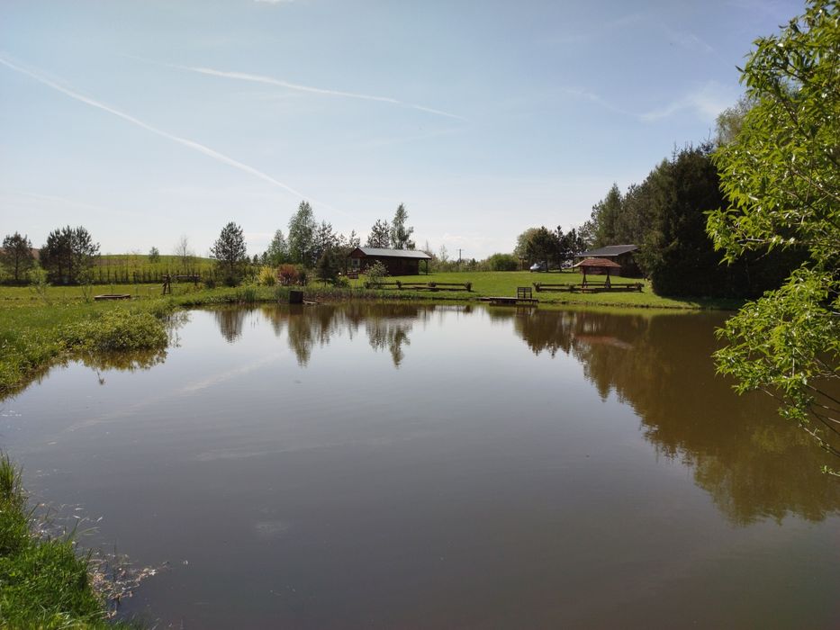 Zapraszam! Domki nad jeziorem i stawami.