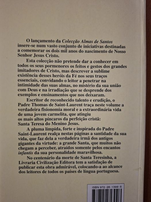 Santa Teresa do Menino Jesus