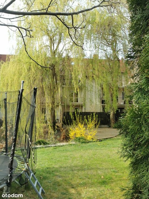 1-Pok, Parking, Balkon, Bezpośrednio