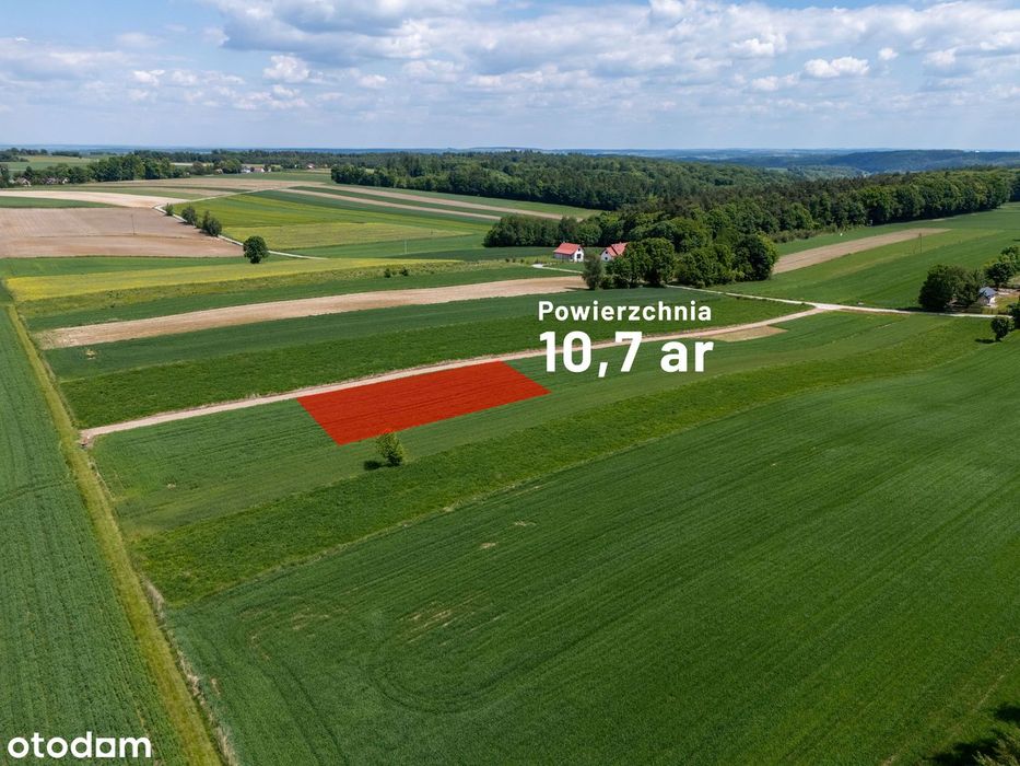 Sprzedam działkę rolno - budowlaną z Pozwoleniem na budowę - View 2