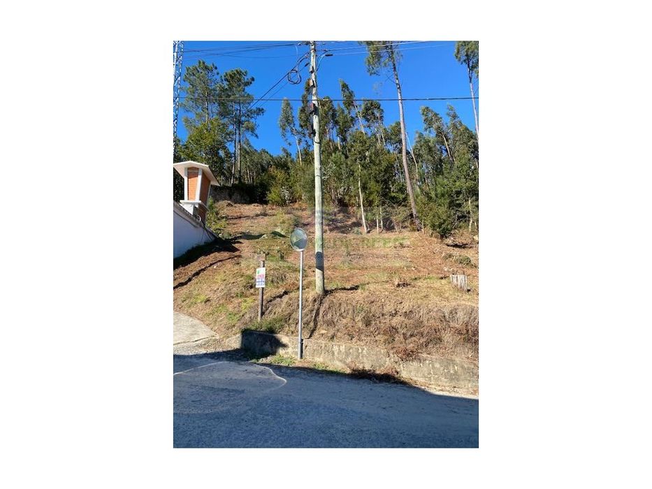 Terreno Com Viabilidade De Construção Em Pessegueiro Do Vouga