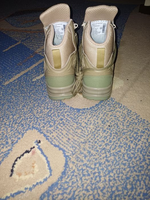 Берци зимові високі