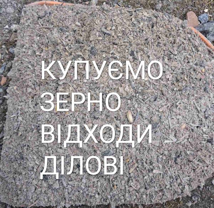 Купуємо зерно відходи соняшника,сої,рапс,льон,кукурудза,зернові ділові відходи