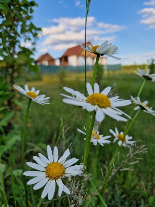 "Zaplecze Lasu" Domek całoroczny z Balią, drewniane domki jacuzzi