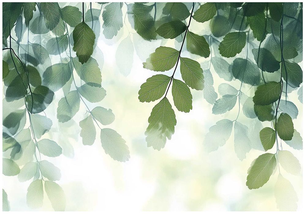 Fototapeta Zielone Opadające Liście Biel Zieleń Boho Natura 3D + KLEJ