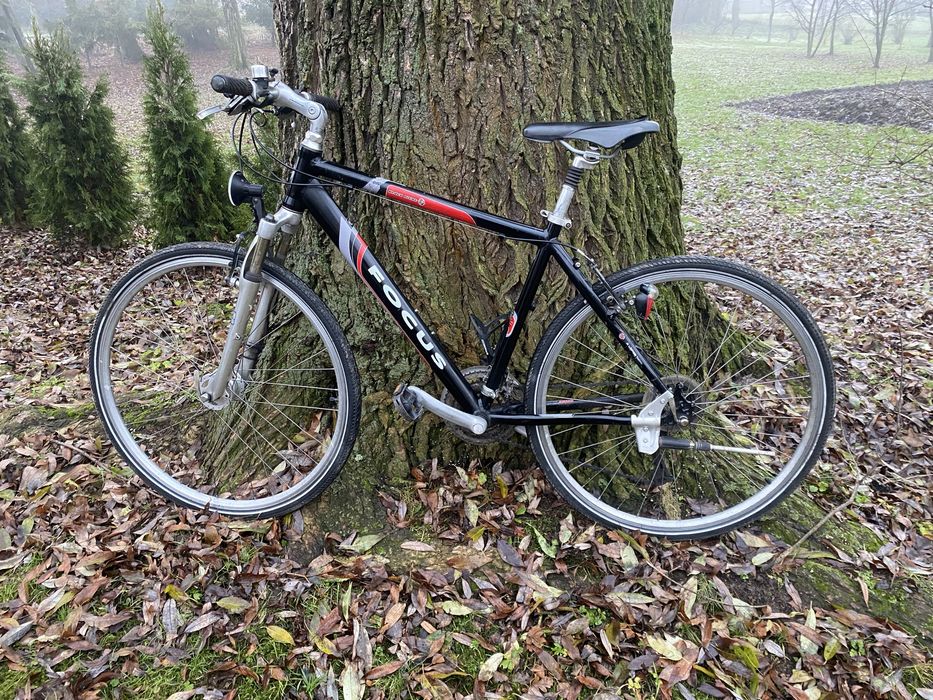 Rower trekkingowy Focus