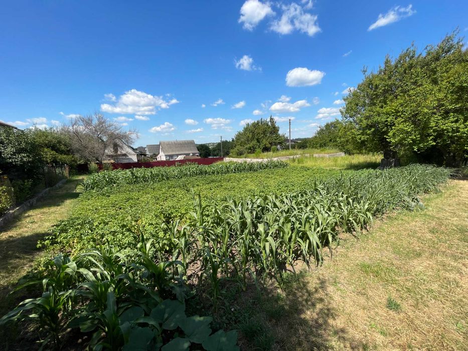 Земельна ділянка