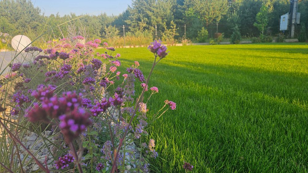 Pielęgnacja ogrodów zakładanie ogrodów