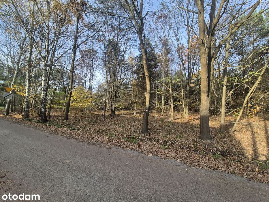 Wyjątkowa działka 7723 m² z lasem i rzeką – Złotokłos, pod rezydencję!