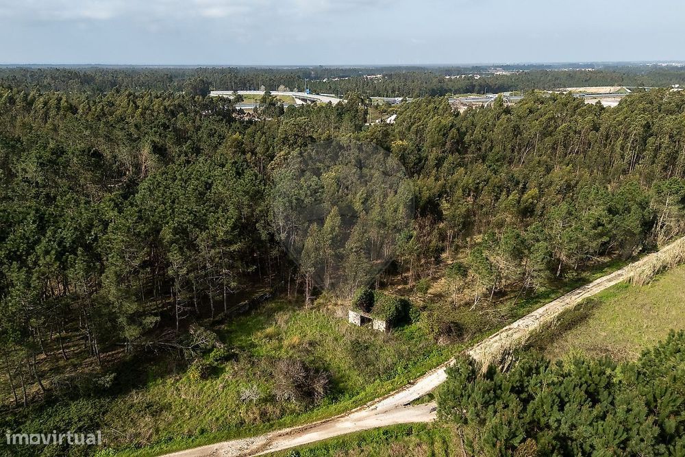 Terreno  para venda