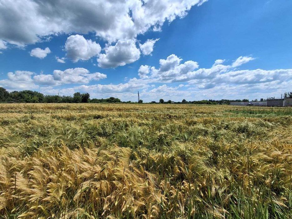 Мар'янівка. Продаж земельної ділянки, 30 сот. Вигідна пропозиція!