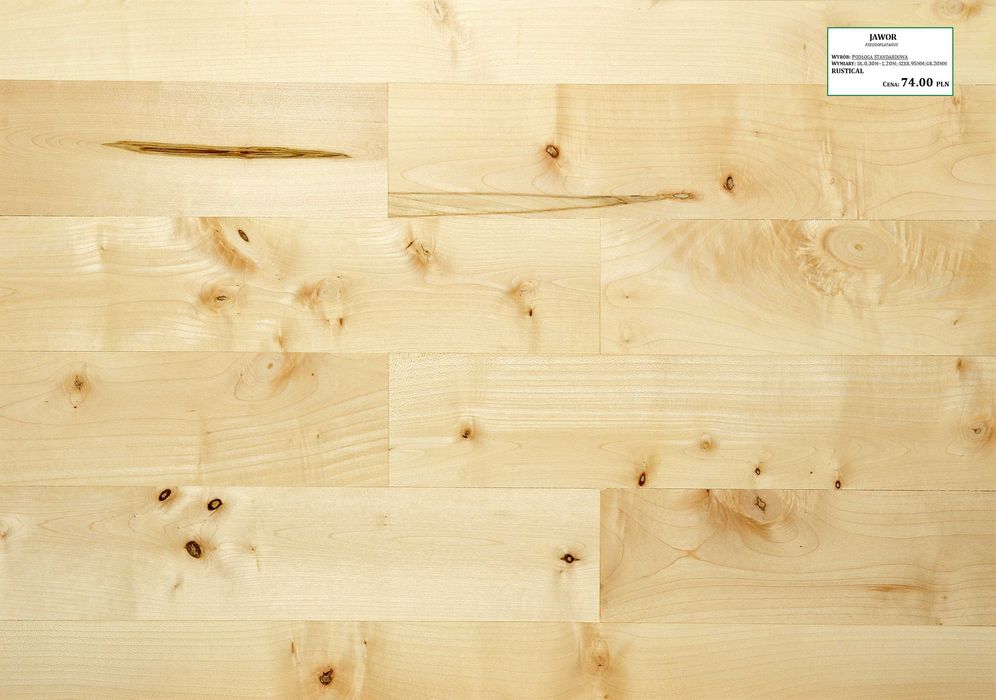 Deska podłogowa JAWOR  lita 2cm PRODUCENT