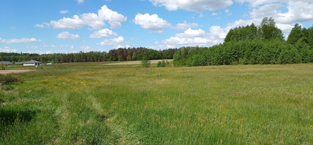 Działka 1000m Skrybicze warunki zabudowy