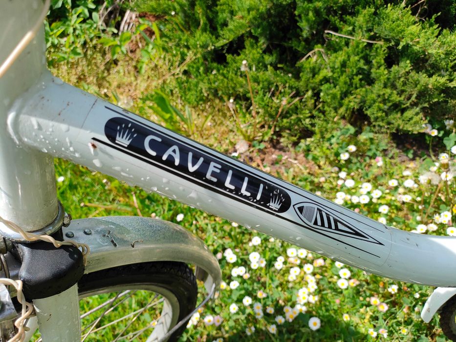 Rower holenderski CAVELLI damski męski Konin • OLX.pl