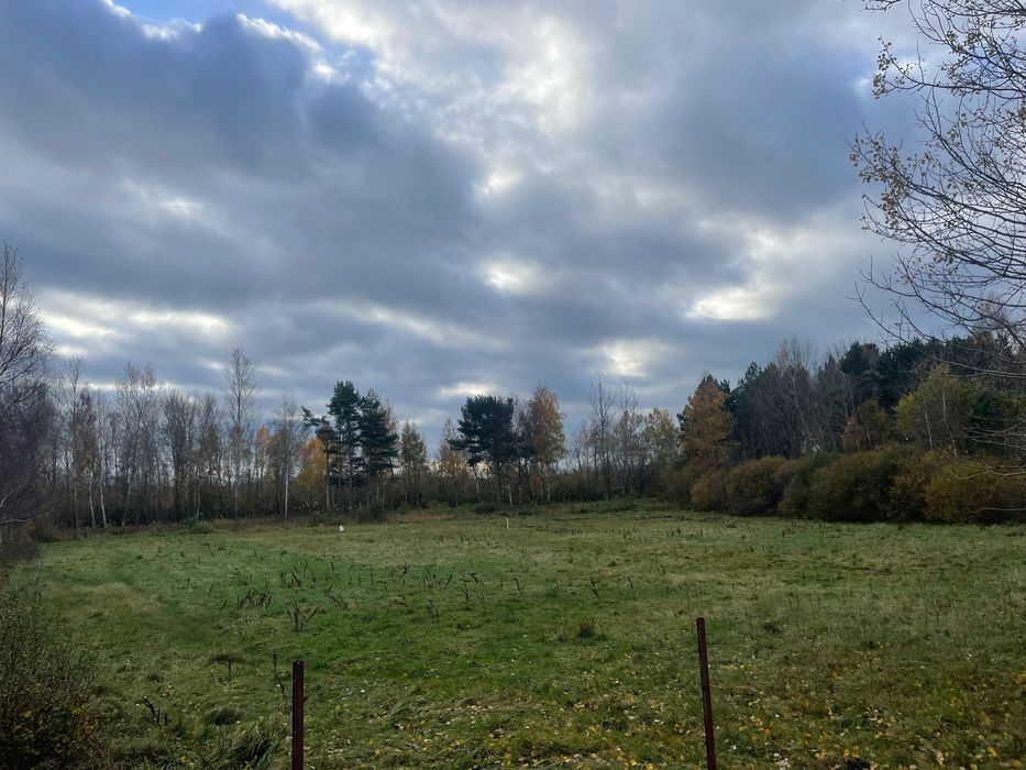 Działka nad morzem - Widok 4