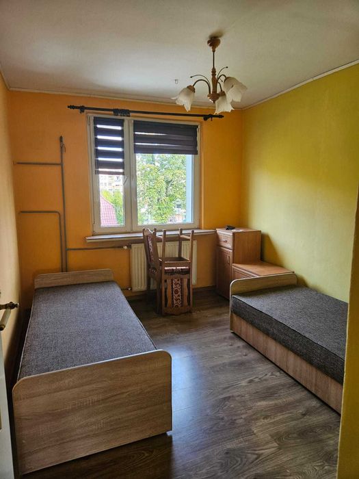 mieszkanie do wynajęcia Niemodlin