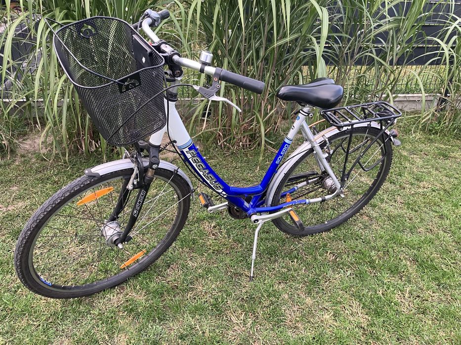 Rower damka Pegasus