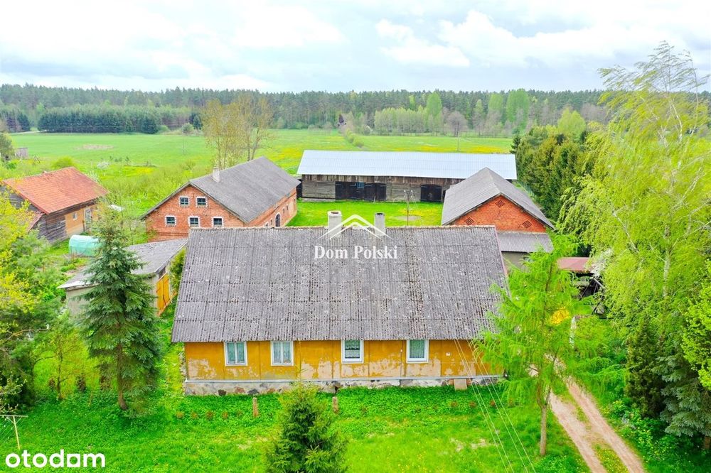Dom – Wilkasy, powiat olecki - Widok 2