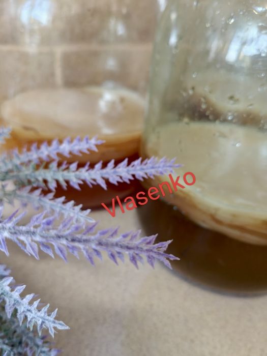 ЧАЙНИЙ гриб як в дитинстві -КОМБУЧА.