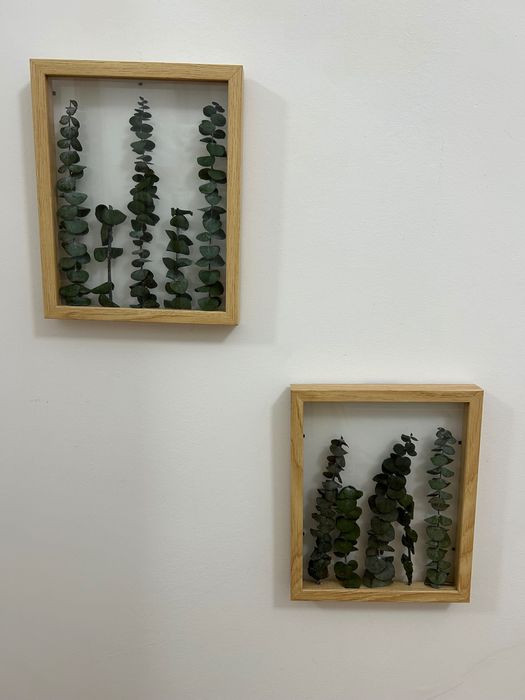 Quadros decorativos com plantas