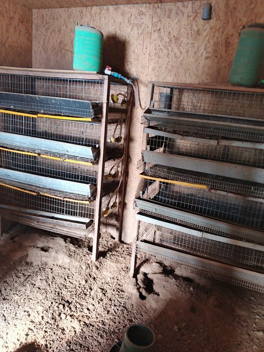 Продам клітки для перепелок