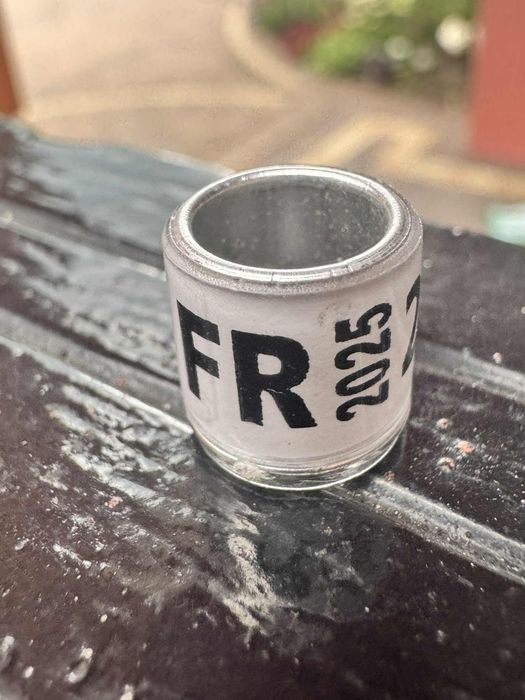 Obrączki francuskie