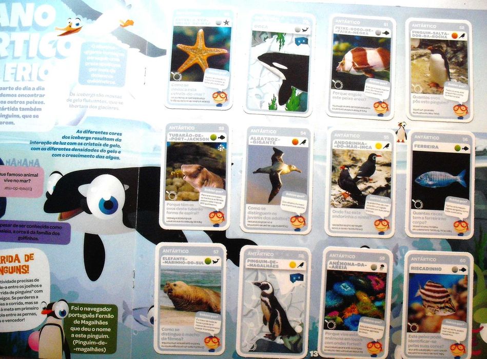 Grande Álbum do Mergulhador - Vida Marinha - Pingo doce