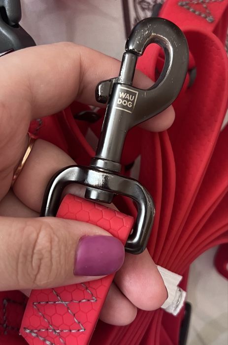 Продам повідок амуніцію для собак