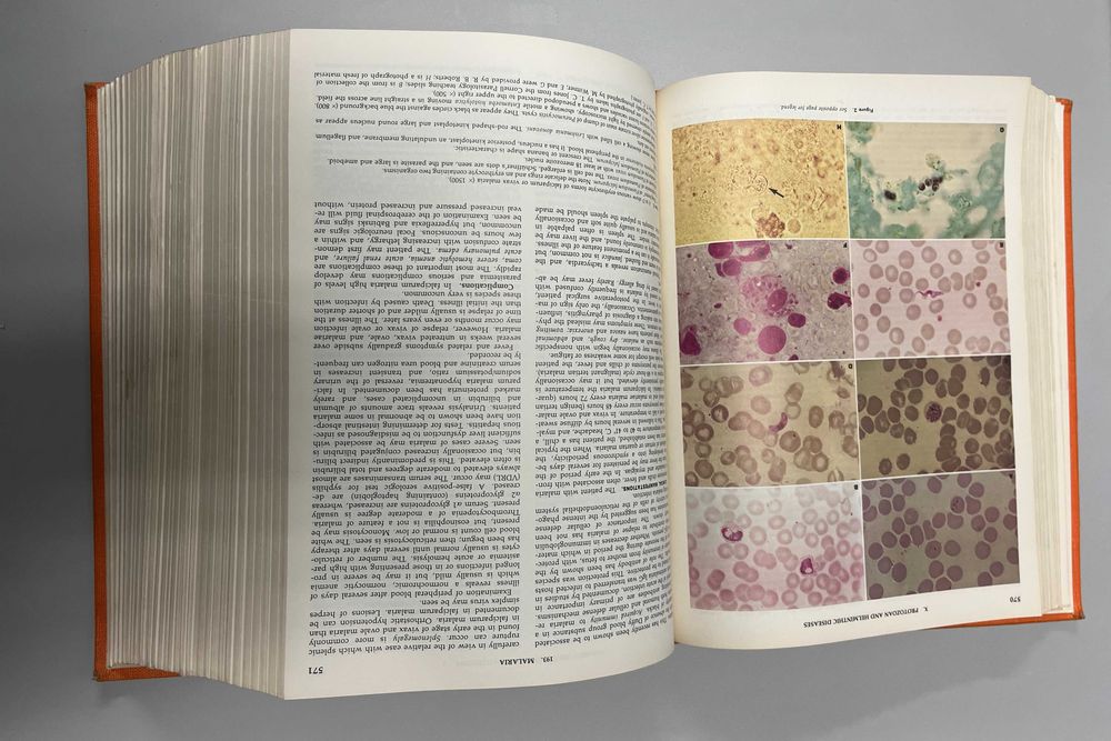 Cecil Textbook of Medicine - 15th edition - muito bom estado