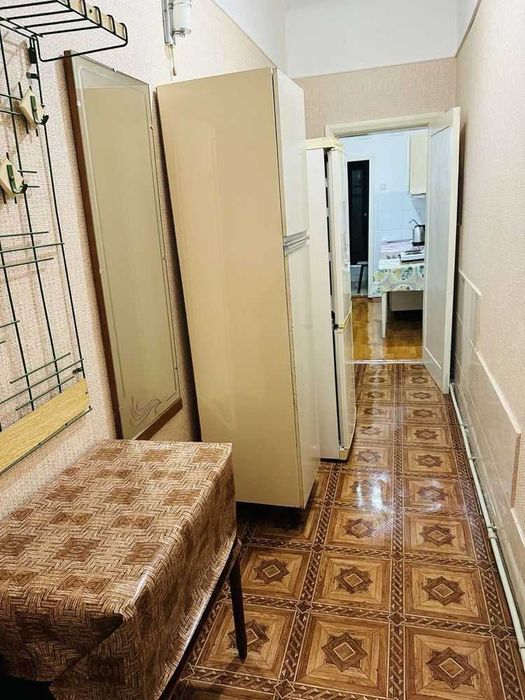 Вільний‼️Центр. вул. Панянка (поруч). З Ремонтом, Меблями та Технікою.