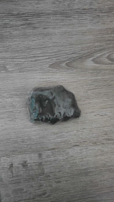 Skamielina dinozaura