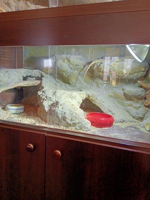 Terarium podwójne z szafką +Agamy