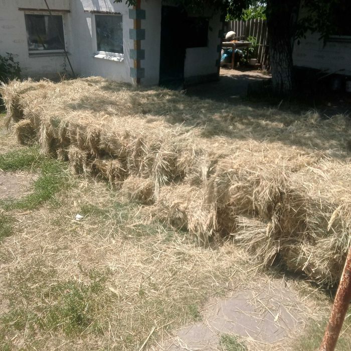 Сено луговое в тюках