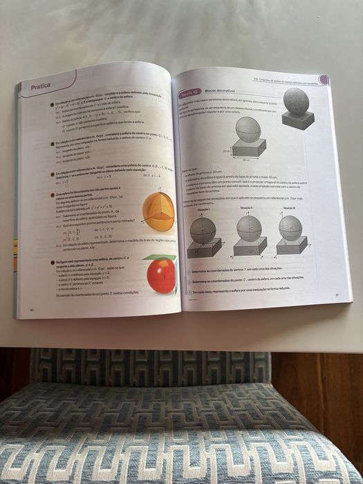 Livros e Cadernos de atividades 10 ano