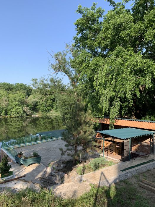 Аренда беседки у воды