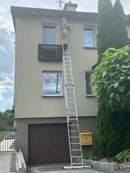 Usuwanie gniazd os i szerszeni